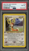PSA 8 Cerfrousse thumbnail 1