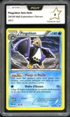 PCA 9 Pingoléon thumbnail 1