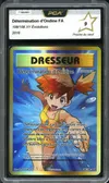 PCA 9 Détermination d'Ondine thumbnail 1