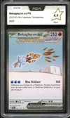PCA 9.5 Bekaglaçon Ex thumbnail 1