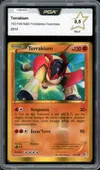 PCA 9.5 Terrakium Holo thumbnail 1