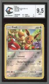 CCC 9.5 Evoli Reverse thumbnail 1