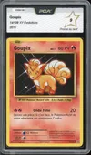 PCA 9 Goupix thumbnail 1