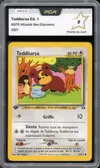 PCA 9 Teddiursa thumbnail 1