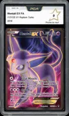 PCA 9 Mentali Ex thumbnail 1