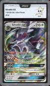 PCA 9.5 Silvallié Gx thumbnail 1