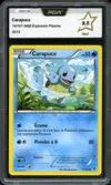PCA 9.5 Carapuce thumbnail 1