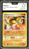 PCA 9 Sablaireau thumbnail 1