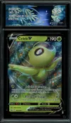 CA 9.5 Celebi V thumbnail 1