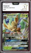 PCA 9 Phyllali Gx thumbnail 1
