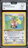 PCA 9.5 Canarticho thumbnail 1
