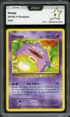 PCA 8 Smogo thumbnail 1