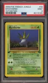 PSA 9 Mystherbe thumbnail 1