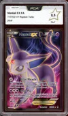 PCA 9.5 Mentali Ex thumbnail 1