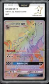 PCA 9 Silvallié Gx Rainbow thumbnail 1