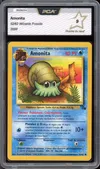 PCA 9 Amonita thumbnail 1