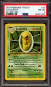 PSA 8 Coconfort thumbnail 1