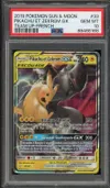 PSA 10 Pikachu et Zekrom Gx thumbnail 1