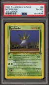 PSA 8 Mystherbe thumbnail 1