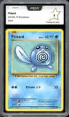 PCA 9 Ptitard thumbnail 1