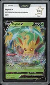 PCA 9.5 Phyllali V thumbnail 1