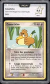 PCA 9.5 Canarticho thumbnail 1