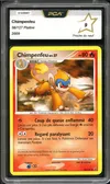 PCA 9 Chimpenfeu thumbnail 1