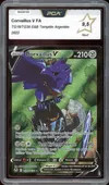 PCA 9.5 Corvaillus V thumbnail 1
