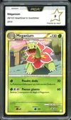 PCA 9 Meganium thumbnail 1