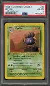 PSA 8 Ortide thumbnail 1