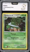 PCA 6 Torterra Holo thumbnail 1