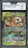 PCA 9.5 Brindibou et Noadkoko d’Alola Gx thumbnail 1