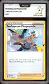PCA 9 Professeure Pimprenelle thumbnail 1