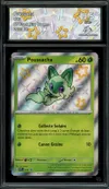 CA 9,5 Poussacha thumbnail 1