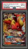 PSA 8 Pyroli Gx thumbnail 1