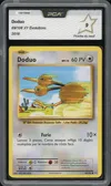 PCA 9 Doduo thumbnail 1
