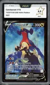 PCA 9.5 Carchacrok V thumbnail 1