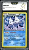 PCA 9.5 Sorbouboul Holo thumbnail 1