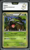 PCA 9.5 Torterra thumbnail 1