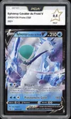 PCA 9.5 Sylveroy Cavalier du Froid V thumbnail 1
