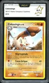 PCA 9.5 Colossinge thumbnail 1