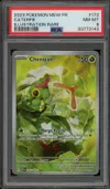 PSA 8 Chenipan thumbnail 1