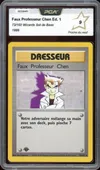 PCA 9 Faux Professeur Chen thumbnail 1