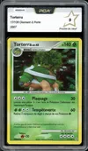 PCA 9 Torterra Holo thumbnail 1