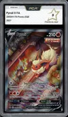 PCA 9 Pyroli V thumbnail 1