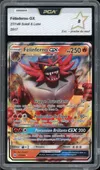 PCA 8 Félinferno Gx thumbnail 1