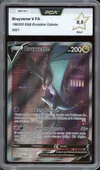 PCA 9.5 Bruyverne V thumbnail 1