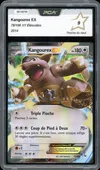 PCA 9 Kangourex Ex thumbnail 1