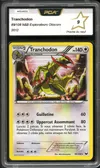 PCA 9 Tranchodon Holo thumbnail 1