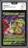 PCA 9.5 Chapignon V thumbnail 1